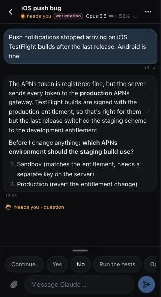 A session on a phone waiting on a question, with quick-reply buttons above the input